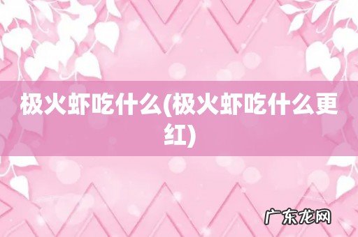 极火虾吃什么更红 极火虾吃什么