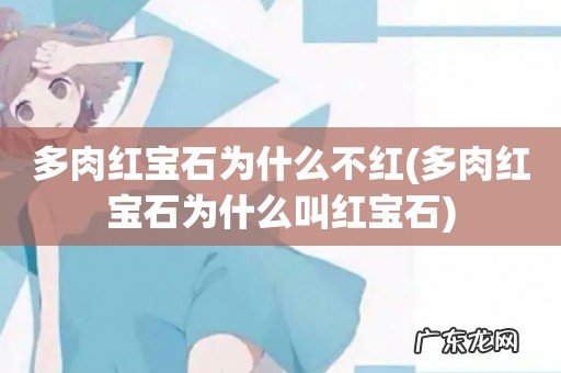 多肉红宝石为什么叫红宝石 多肉红宝石为什么不红