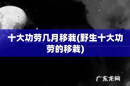 野生十大功劳的移栽 十大功劳几月移栽