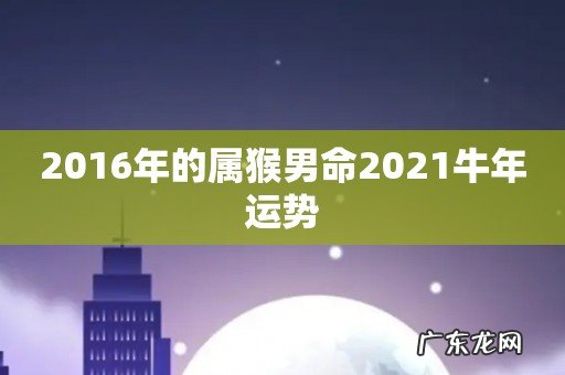2016年的属猴男命2021牛年运势