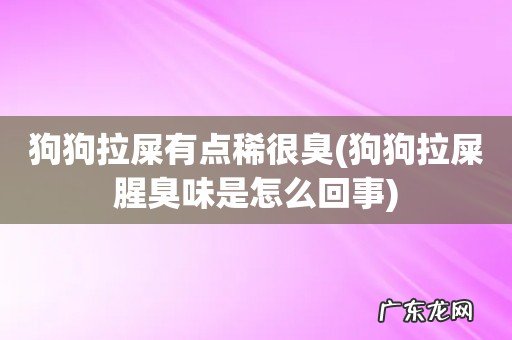 狗狗拉屎腥臭味是怎么回事 狗狗拉屎有点稀很臭