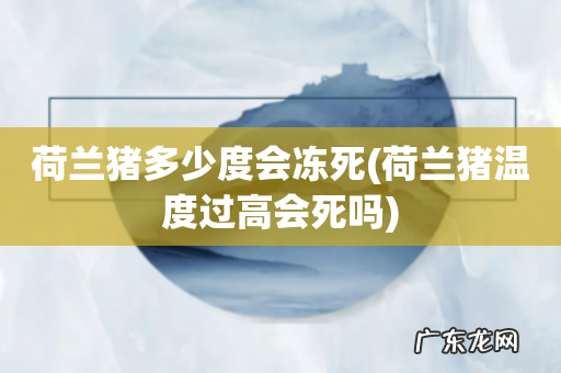 荷兰猪温度过高会死吗 荷兰猪多少度会冻死