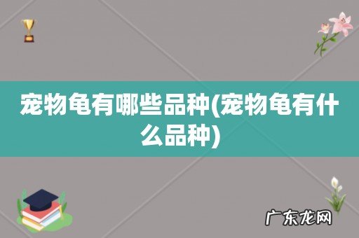 宠物龟有什么品种 宠物龟有哪些品种