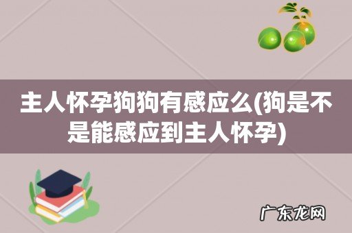狗是不是能感应到主人怀孕 主人怀孕狗狗有感应么