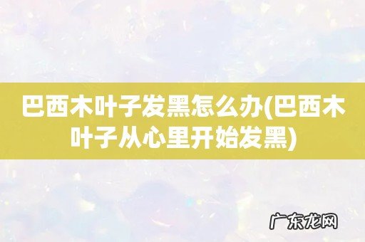 巴西木叶子从心里开始发黑 巴西木叶子发黑怎么办