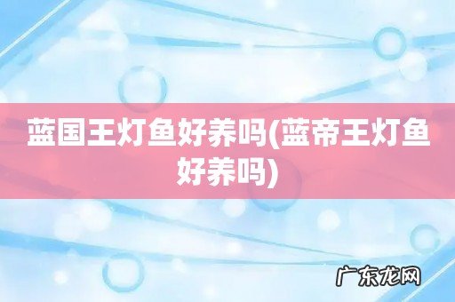 蓝帝王灯鱼好养吗 蓝国王灯鱼好养吗