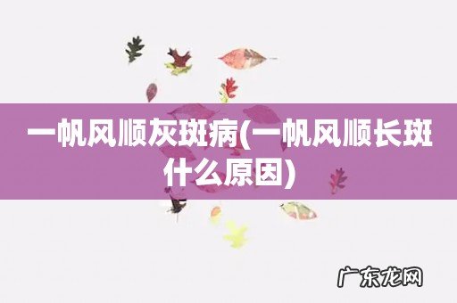 一帆风顺长斑什么原因 一帆风顺灰斑病