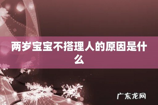 两岁宝宝不搭理人的原因是什么