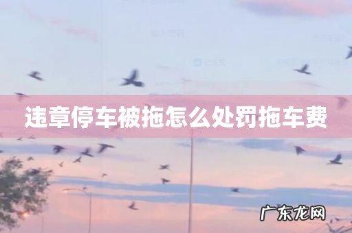 违章停车被拖怎么处罚拖车费