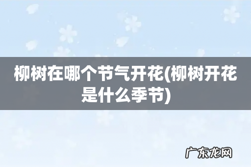 柳树开花是什么季节 柳树在哪个节气开花