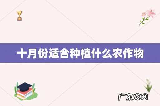十月份适合种植什么农作物