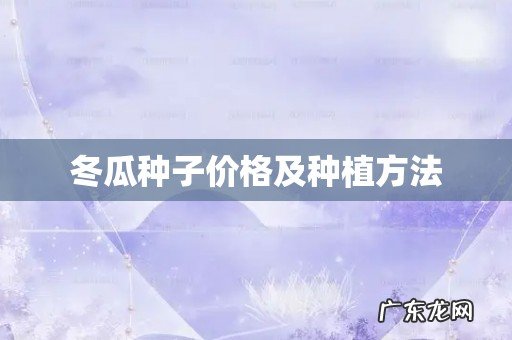 冬瓜种子价格及种植方法