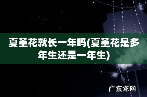 夏堇花是多年生还是一年生 夏堇花就长一年吗