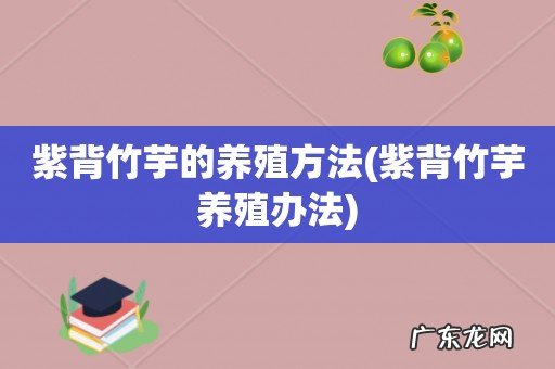 紫背竹芋养殖办法 紫背竹芋的养殖方法