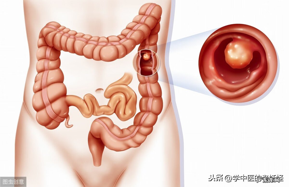 消化系统的功能 消化系统