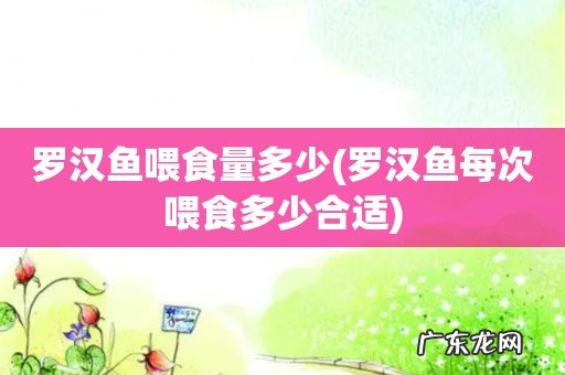 罗汉鱼每次喂食多少合适 罗汉鱼喂食量多少