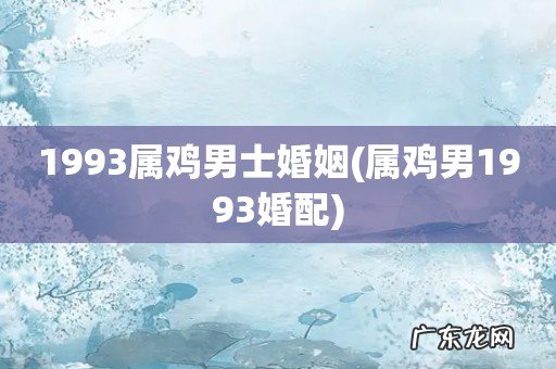 属鸡男1993婚配 1993属鸡男士婚姻