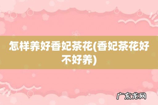 香妃茶花好不好养 怎样养好香妃茶花