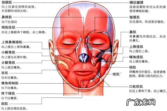 眼部皱纹怎么去掉 脸部皱纹怎样消除