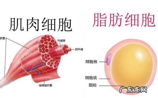 眼部皱纹怎么去掉 脸部皱纹怎样消除
