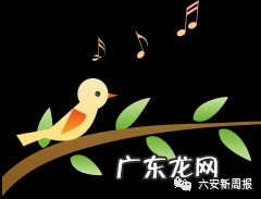 八宅风水的四凶位怎么化解 四害煞怎么化解