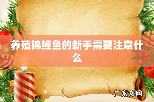 养殖锦鲤鱼的新手需要注意什么