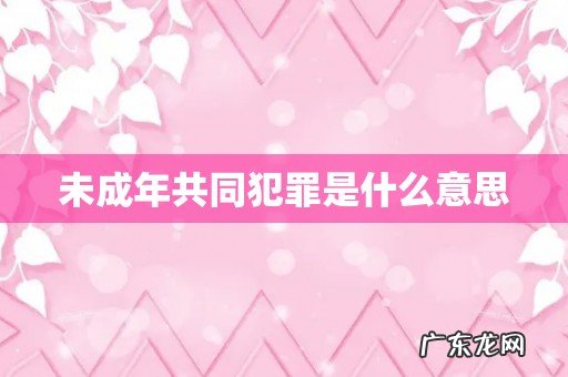 未成年共同犯罪是什么意思