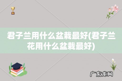 君子兰花用什么盆栽最好 君子兰用什么盆栽最好