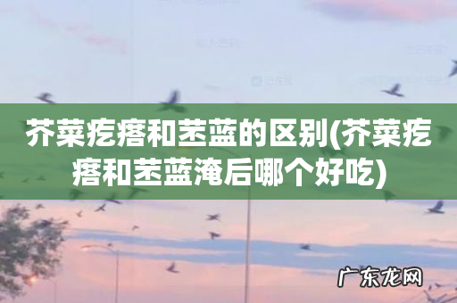 芥菜疙瘩和苤蓝淹后哪个好吃 芥菜疙瘩和苤蓝的区别