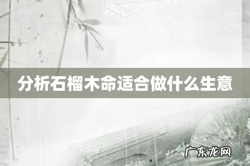 分析石榴木命适合做什么生意