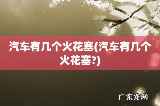 汽车有几个火花塞? 汽车有几个火花塞