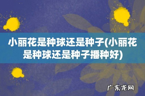 小丽花是种球还是种子播种好 小丽花是种球还是种子