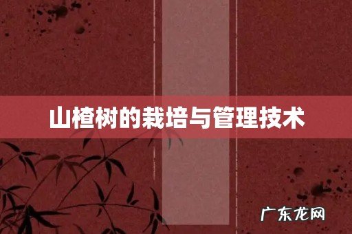 山楂树的栽培与管理技术