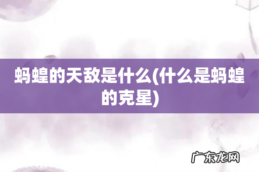 什么是蚂蝗的克星 蚂蝗的天敌是什么