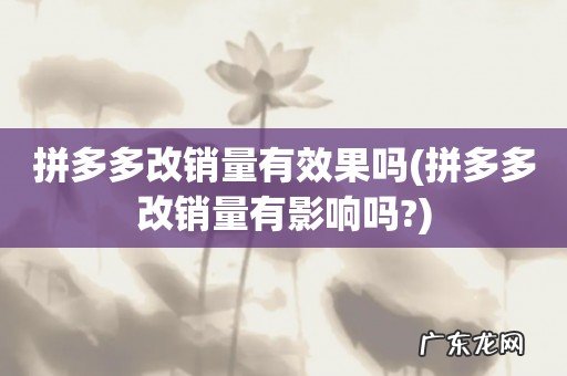 拼多多改销量有影响吗? 拼多多改销量有效果吗