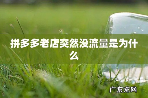 拼多多老店突然没流量是为什么