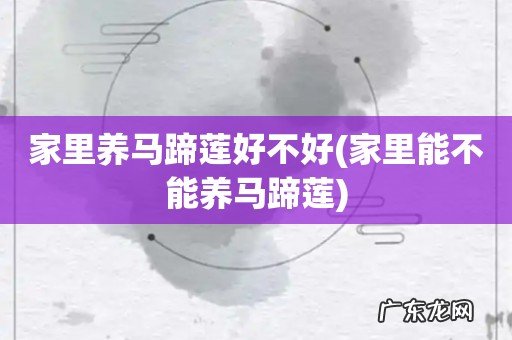 家里能不能养马蹄莲 家里养马蹄莲好不好
