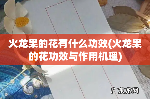 火龙果的花功效与作用机理 火龙果的花有什么功效