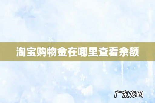 淘宝购物金在哪里查看余额