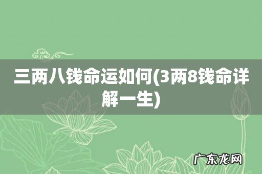 3两8钱命详解一生 三两八钱命运如何
