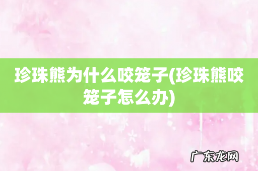 珍珠熊咬笼子怎么办 珍珠熊为什么咬笼子