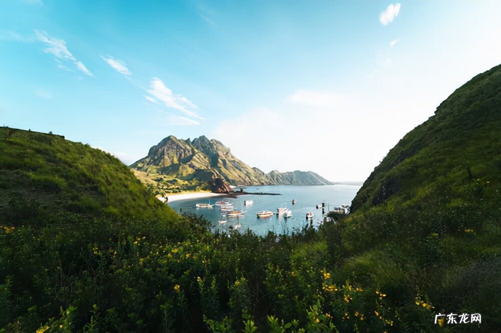 风水字母代表的数字 字母c在风水里好吗