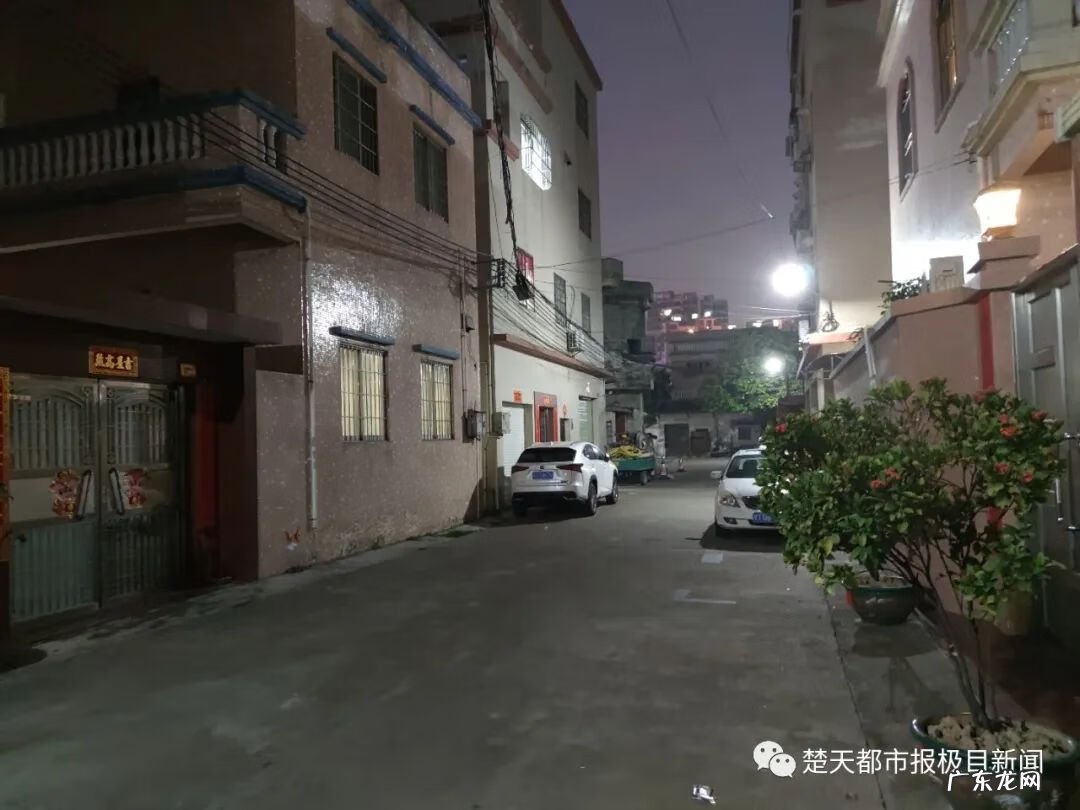 贵港市龙头山风水秘密 广西贵港风水龙局