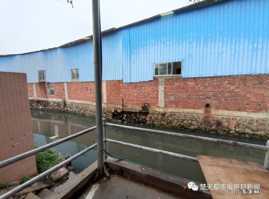 贵港市龙头山风水秘密 广西贵港风水龙局