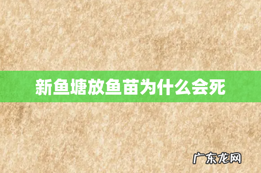 新鱼塘放鱼苗为什么会死