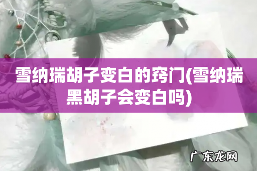 雪纳瑞黑胡子会变白吗 雪纳瑞胡子变白的窍门