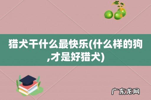 什么样的狗,才是好猎犬 猎犬干什么最快乐