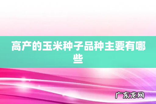 高产的玉米种子品种主要有哪些