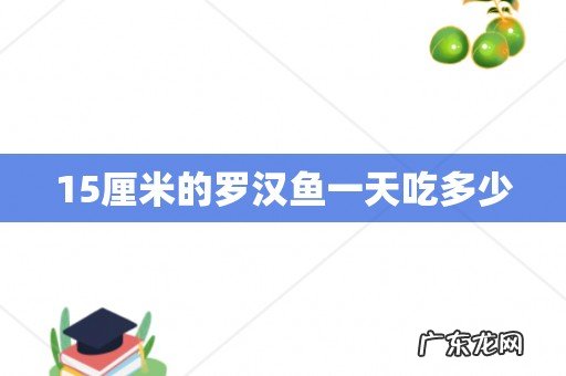 15厘米的罗汉鱼一天吃多少