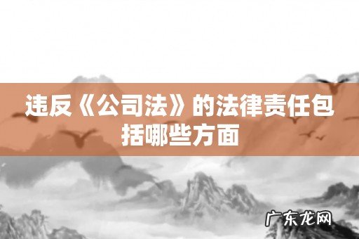 违反《公司法》的法律责任包括哪些方面